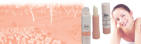 OIL LIP BALM
