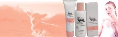 Hand & Body Lotion